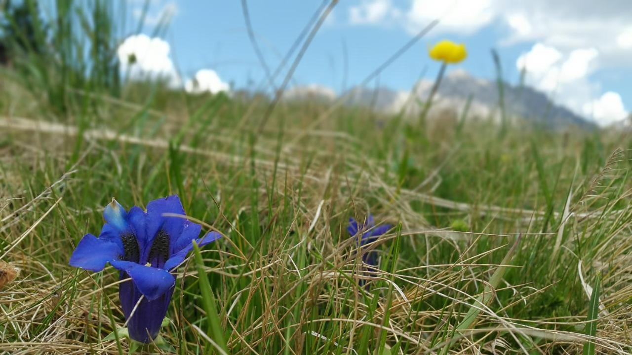 Gasthof Wacht Untertilliach Bagian luar foto